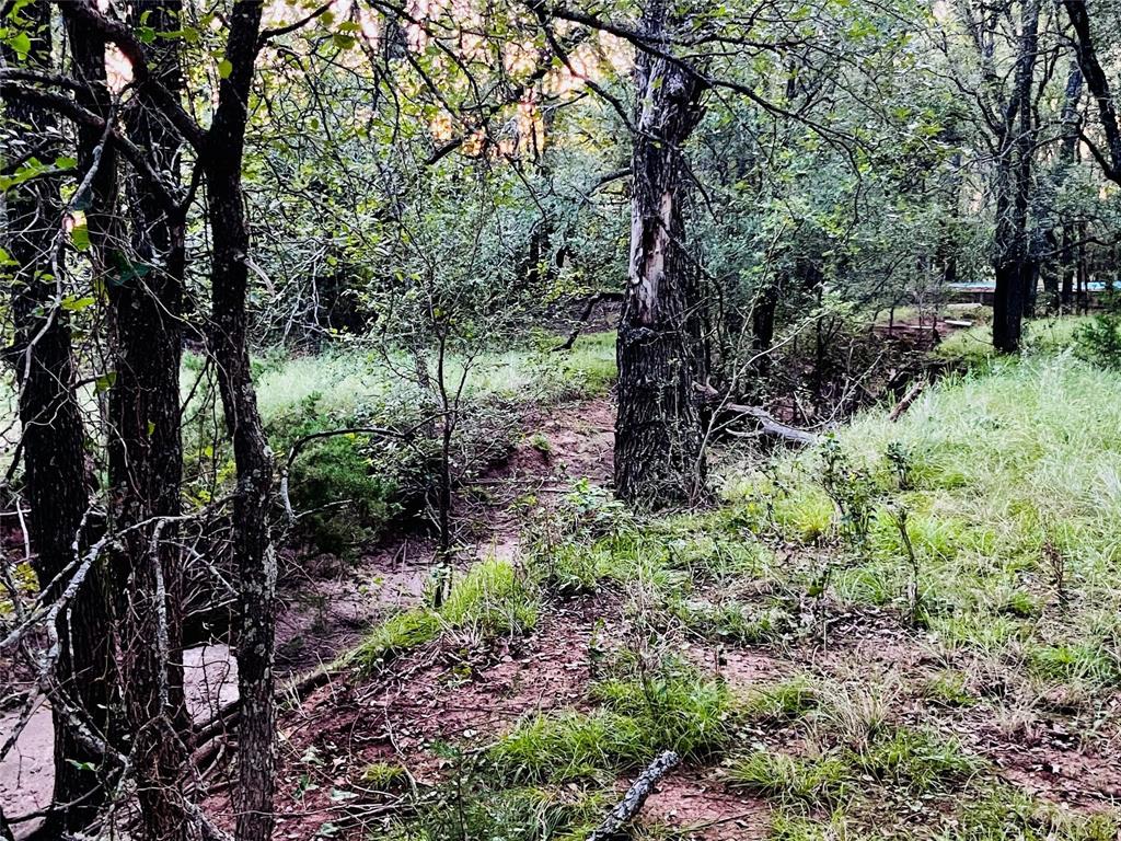 701 County Road 319 Early, TX 76802 - Photo 8 of 33 View of local wilderness