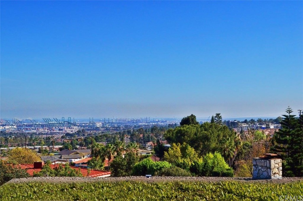 View from the Family Room