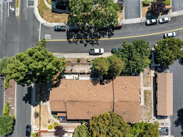 a plant that is in front of flowers