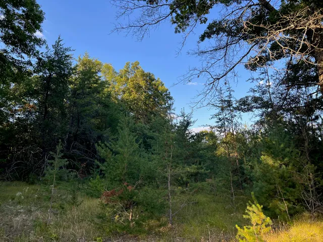 $575,000 | 5314 Highway 10, Baldwin, MI 49304