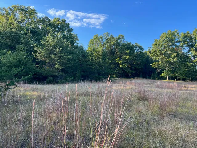 $575,000 | 5314 Highway 10, Baldwin, MI 49304