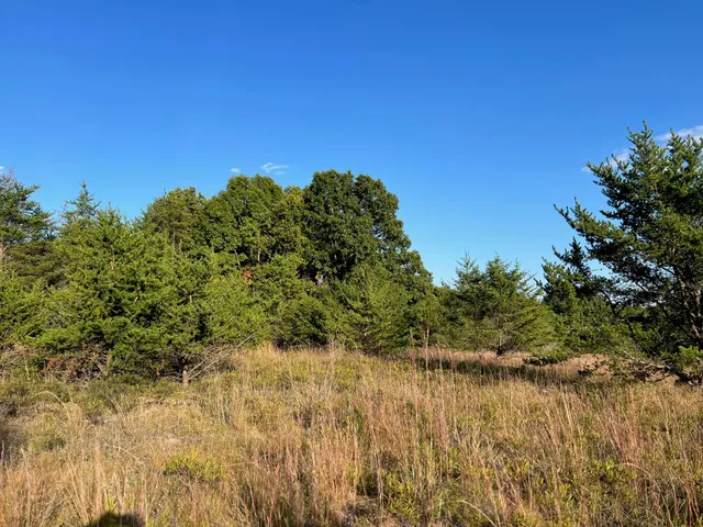 $575,000 | 5314 Highway 10, Baldwin, MI 49304