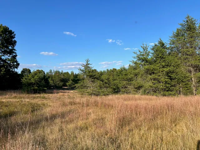 $575,000 | 5314 Highway 10, Baldwin, MI 49304