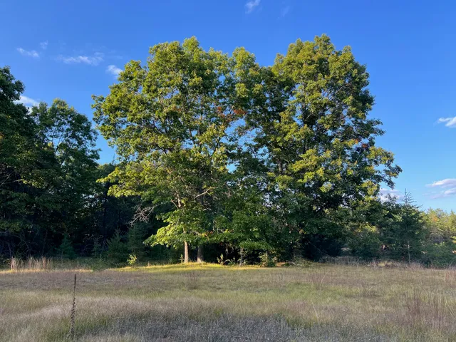 $575,000 | 5314 Highway 10, Baldwin, MI 49304