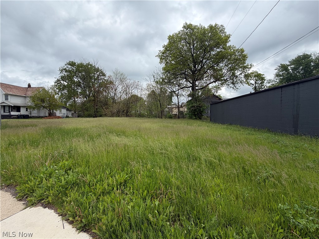 Elm Road Northeast Warren, OH 44483 - Photo 3 of 3