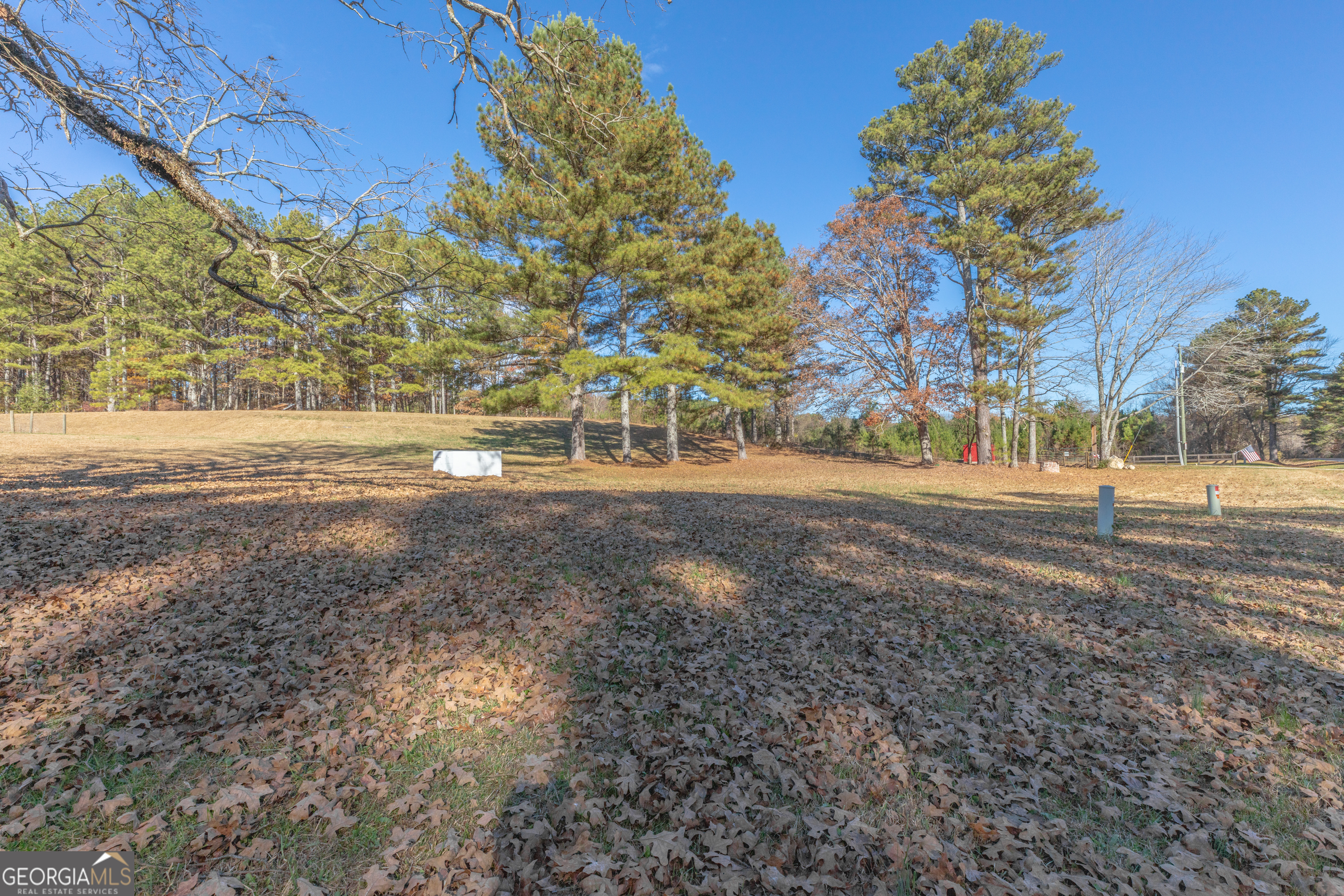 1144 Ridgeway Road LaFayette, GA 30728 - Photo 49 of 66 a view of dirt yard with a large tree