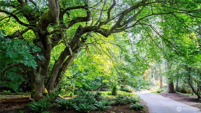 a backyard of a house with lots of green space