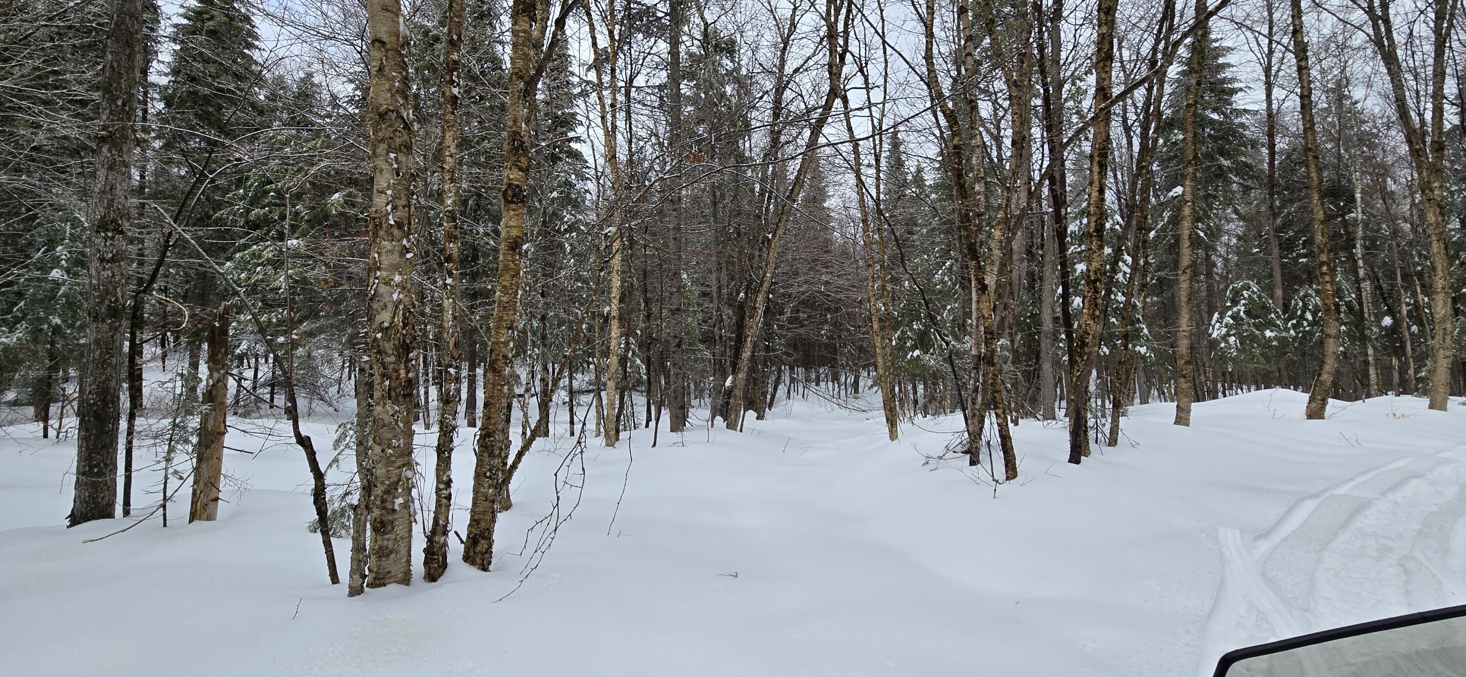 Map31 Map31 Lot12 St. David, ME 04773 - Photo 32 of 35 20260404_134215