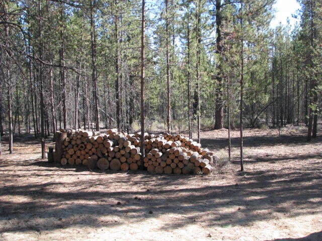 51360 Mitchell Road La Pine, OR 97739 - Photo 14 of 21 More firewood