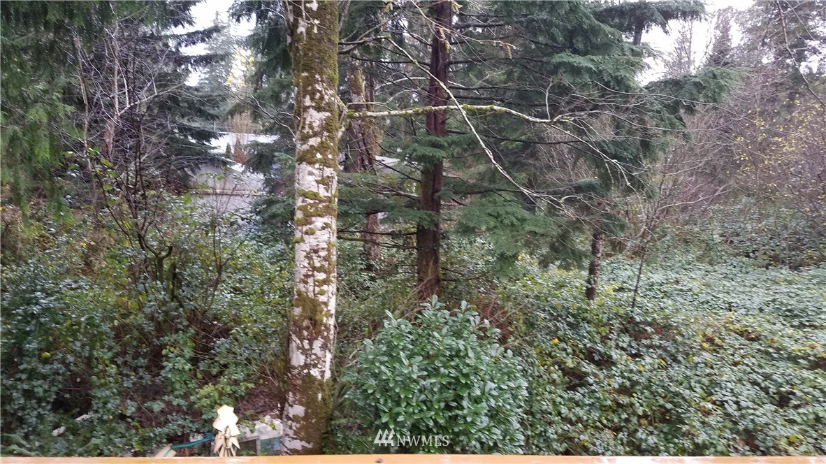 44405 Pine Road Gold Bar, WA 98251 - Photo 14 of 14 Gallery Image 14