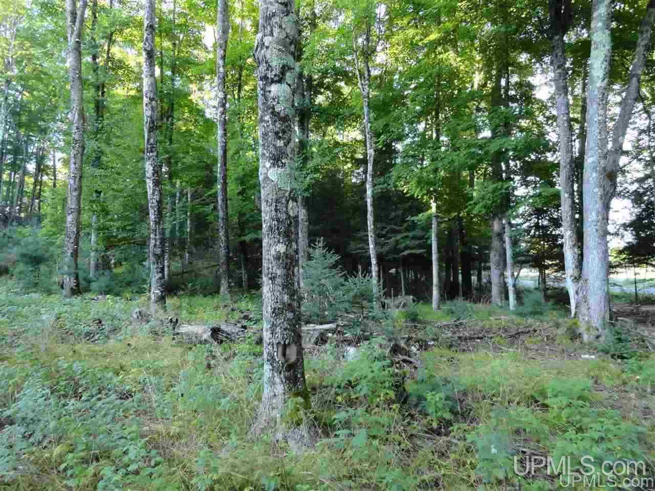 5-acres Co Rd Sa Cornell, MI 49818 - Photo 15 of 27