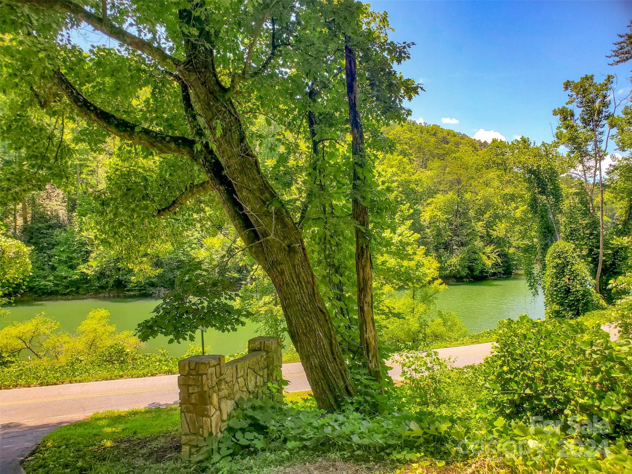 45 R Forest Hills Road, Unit 45R Bryson City, NC 28713 - Photo 14 of 14 a view of a lake with a yard