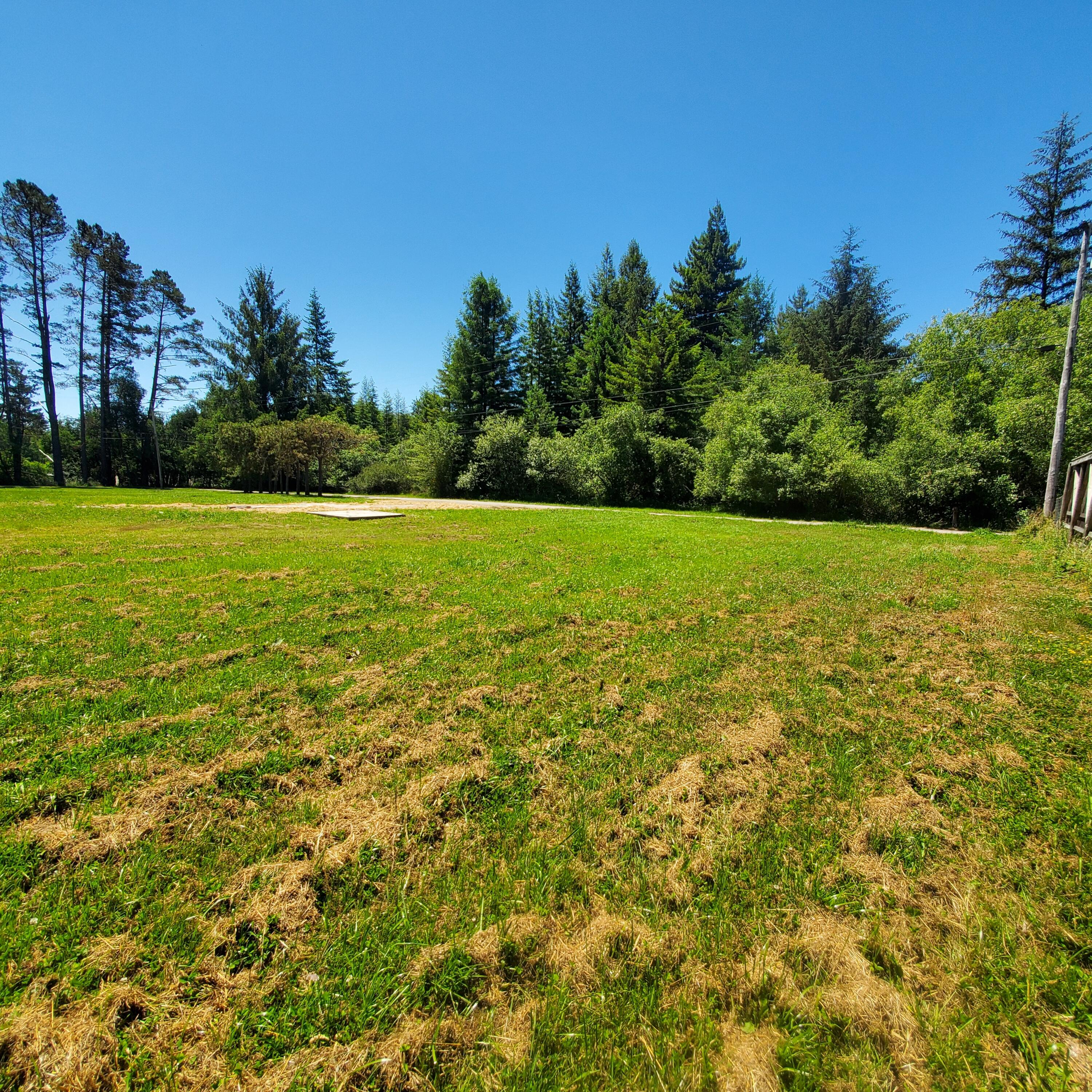 209 Kingston Road Fieldbrook, CA 95519 - Photo 5 of 18 North property line looking West