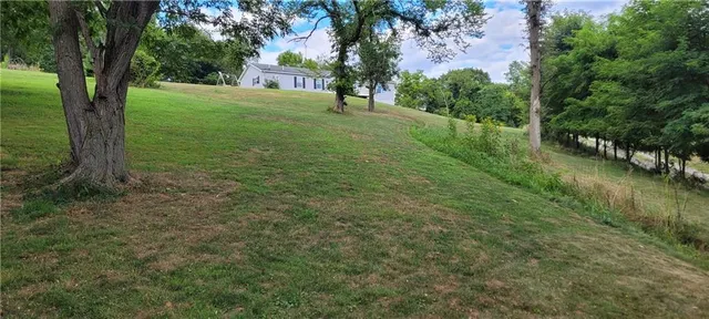 a view of yard with green space
