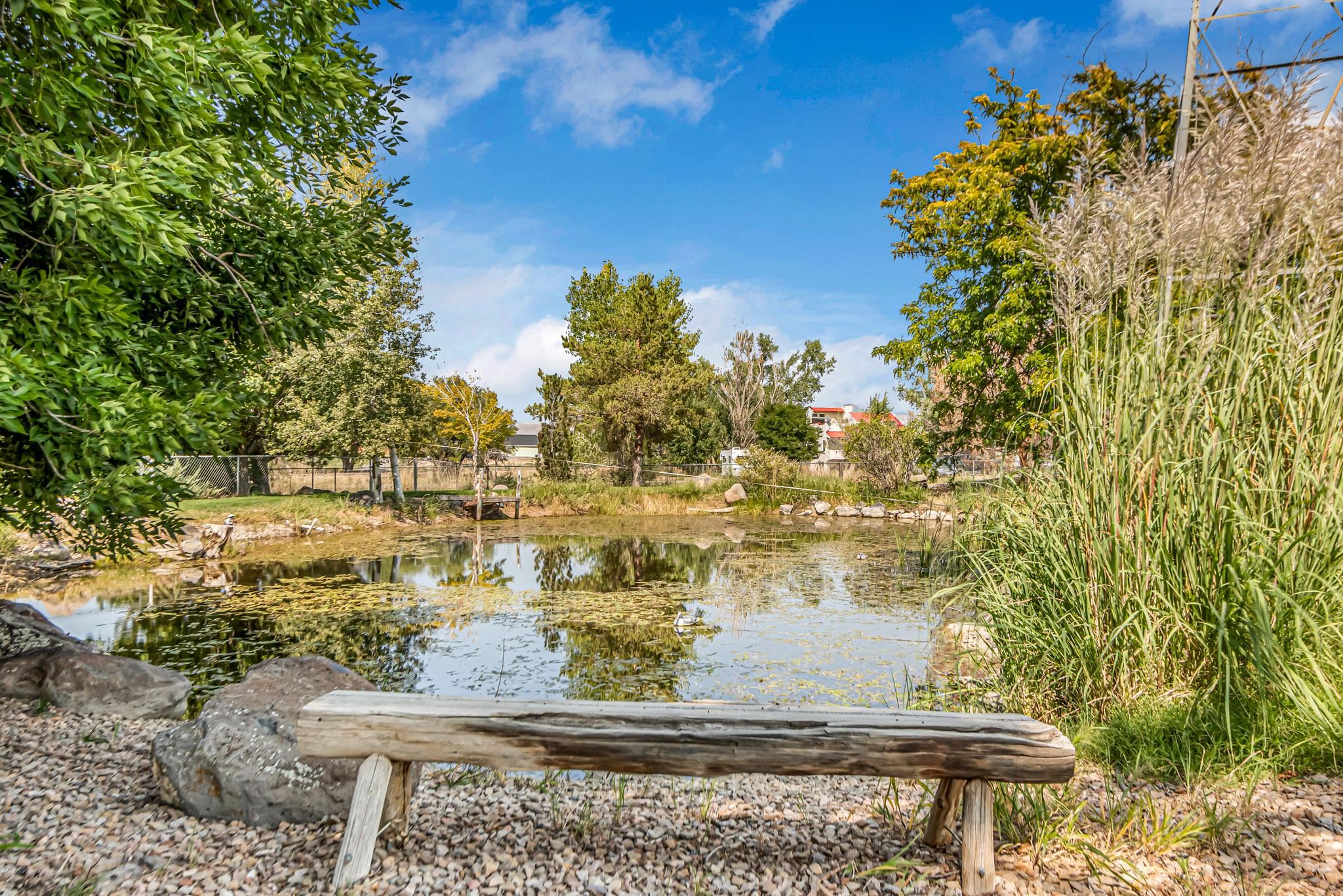 1124 23 Road Grand Junction, CO 81505 - Photo 15 of 41
