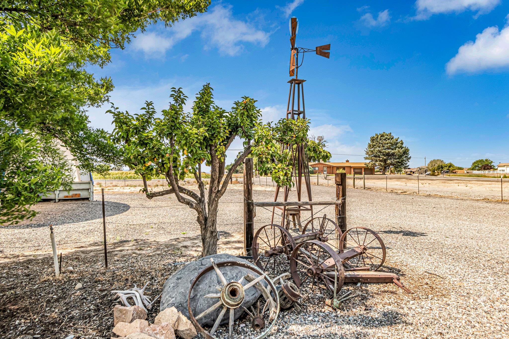 1124 23 Road Grand Junction, CO 81505 - Photo 40 of 41