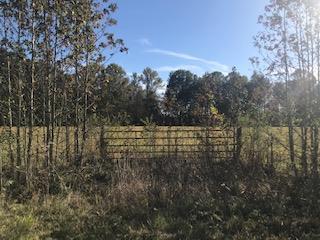 0 Jones Road Taft, TN 38488 - Photo 2 of 7 Level and fenced