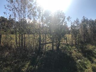 0 Jones Road Taft, TN 38488 - Photo 3 of 7 mostly open