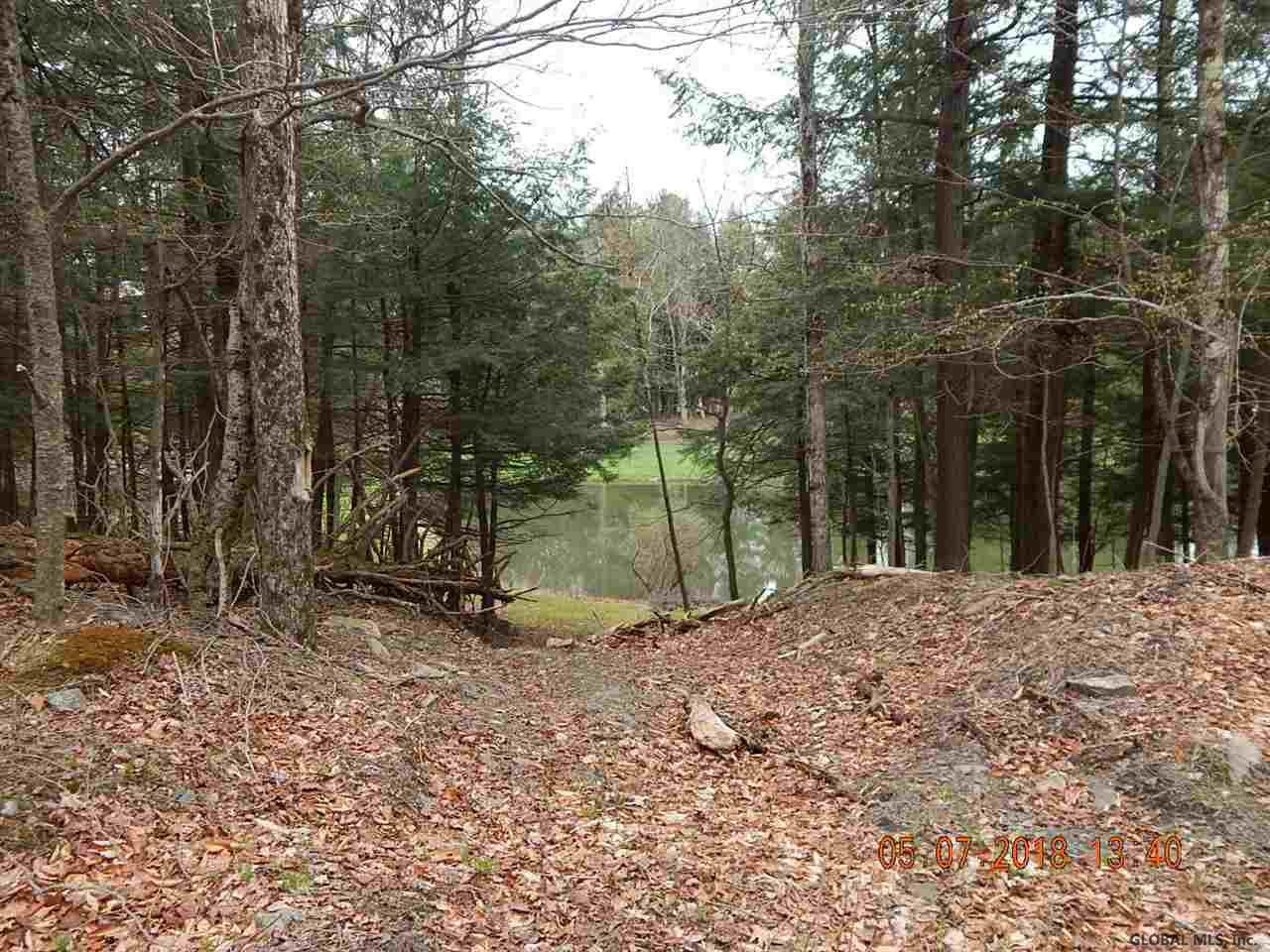 8 Bolte Lane Rensselaerville, NY 12147 - Photo 18 of 20 Photo 18