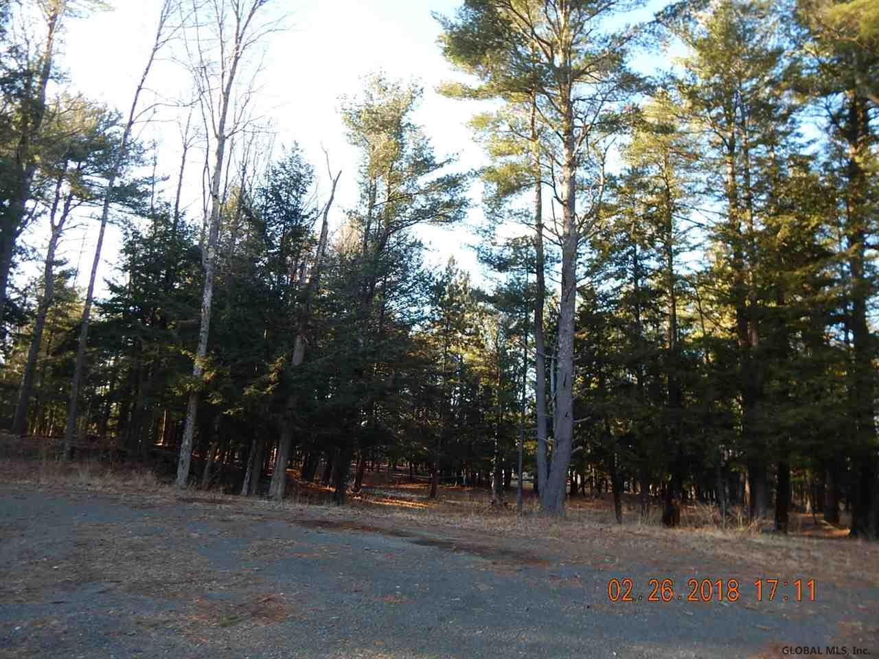 8 Bolte Lane Rensselaerville, NY 12147 - Photo 19 of 20 Photo 19