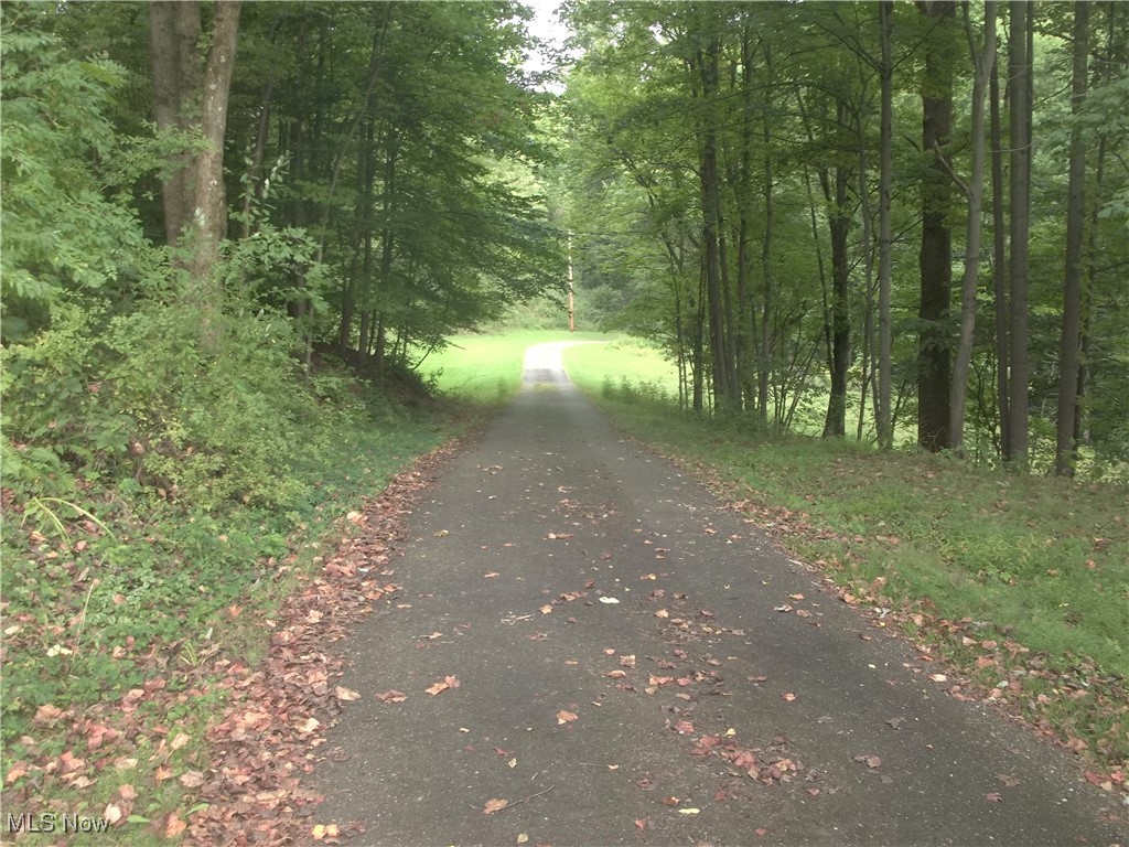 373 May Valley Road Southwest New Philadelphia, OH 44663 - Photo 20 of 38 View of road