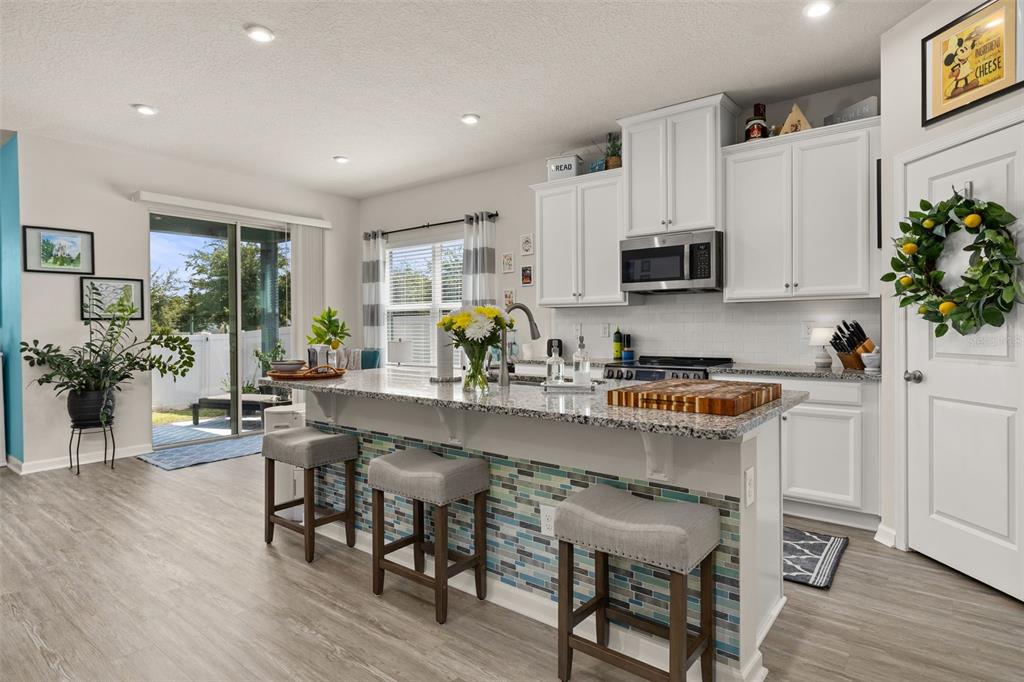 367 August Fern Loop Mount Dora, FL 32757 - Photo 4 of 90