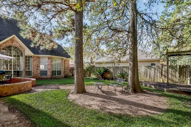 a view of a park with large tree
