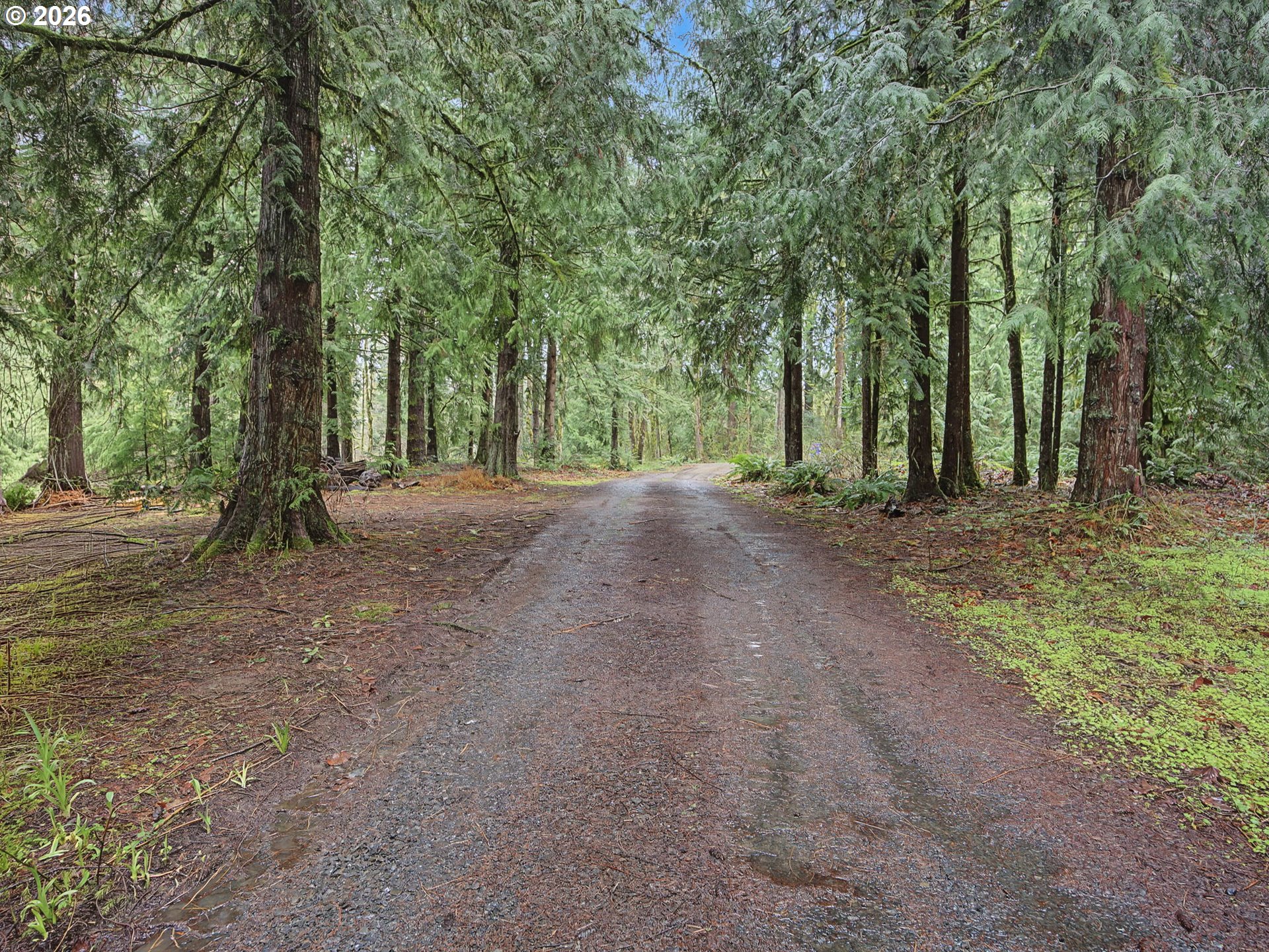 41180 Southeast Kubitz Road Sandy, OR 97055 - Photo 4 of 35 a view of dirt field with trees in the background