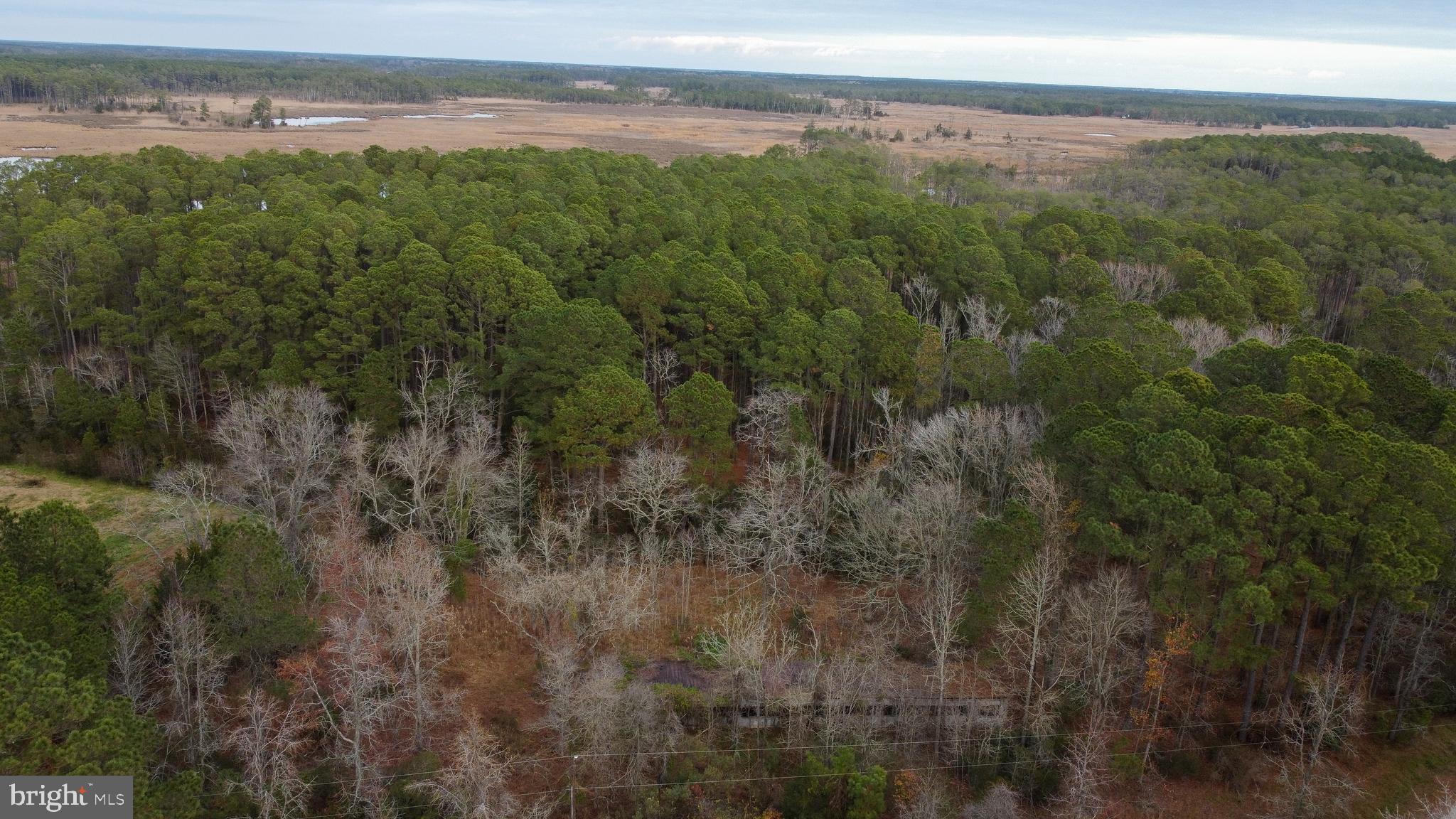 0 Rumbly Point Road Marion Station, MD 21838 - Photo 1 of 1