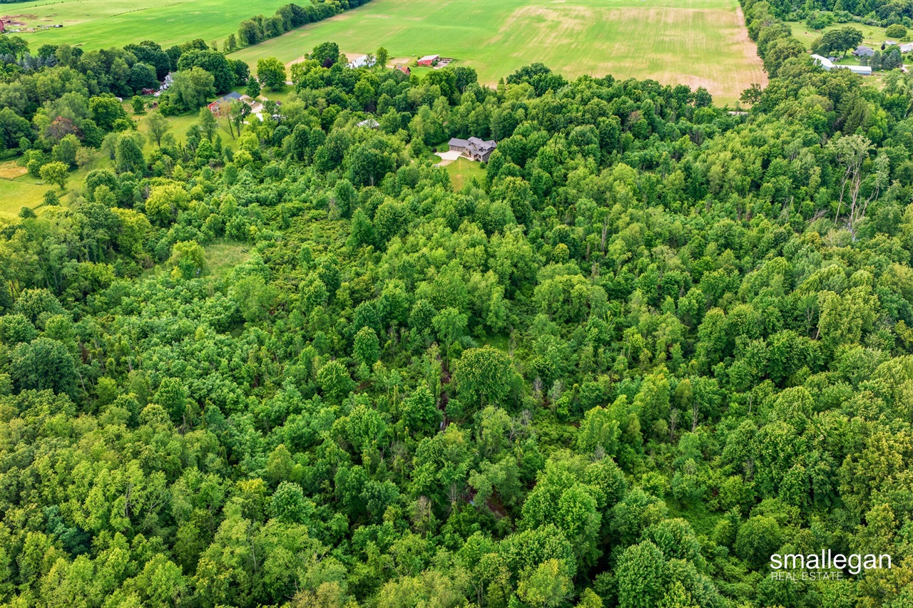 10156 Love Road Bellevue, MI 49021 - Photo 87 of 98