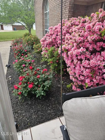 $532,000 | 190 Anthony Drive, Nesbit, MS 38651