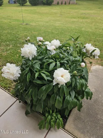 $532,000 | 190 Anthony Drive, Nesbit, MS 38651