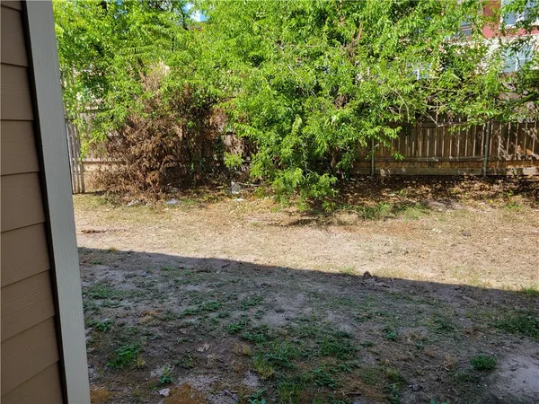 a view of a yard with plants and a large tree