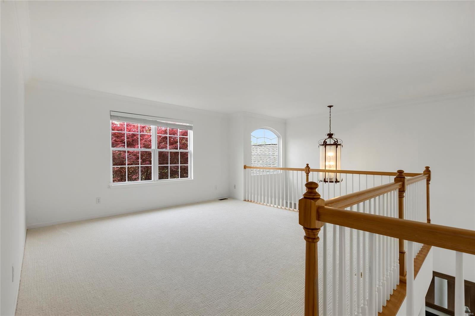 401 Equestrian Pointe Court Chesterfield, MO 63005 - Photo 22 of 46