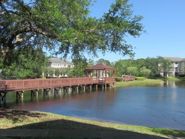 4115 Chatham Oak Court, Unit 211 Tampa, FL 33624 - Photo 5 of 21 a view of a lake with a house in the background