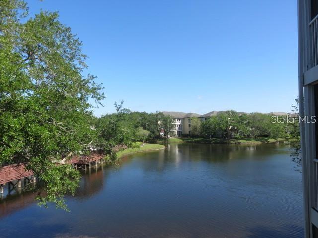 4115 Chatham Oak Court, Unit 211 Tampa, FL 33624 - Photo 7 of 21 a view of a lake with houses in the back