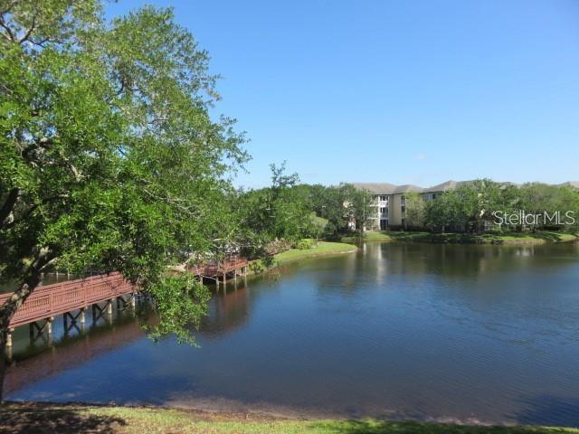 4115 Chatham Oak Court, Unit 211 Tampa, FL 33624 - Photo 8 of 21 a view of a lake with houses