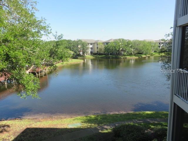 4115 Chatham Oak Court, Unit 211 Tampa, FL 33624 - Photo 9 of 21 a view of a lake with houses in the back