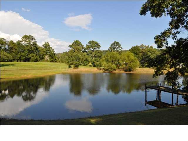 684 No Pone Valley Road Northwest Georgetown, TN 37336 - Photo 1 of 25 Primary Photo