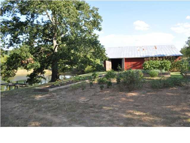 684 No Pone Valley Road Northwest Georgetown, TN 37336 - Photo 2 of 25 Additional Photo