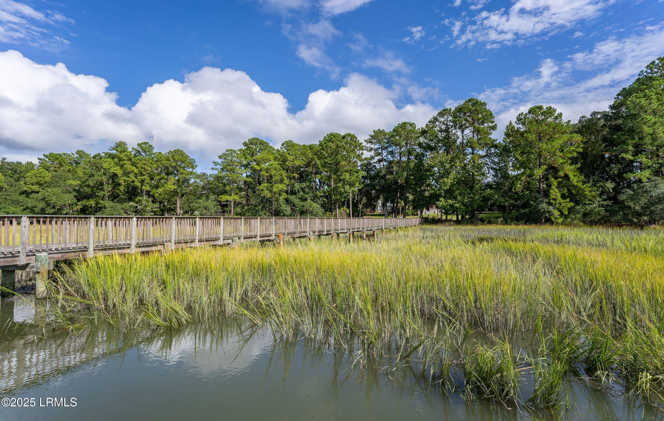 2707 Switchgrass Drive Beaufort, SC 29902 - Photo 44 of 48 DSC04461.jpg-FULL.JPG-FULL.JPG-SMALL