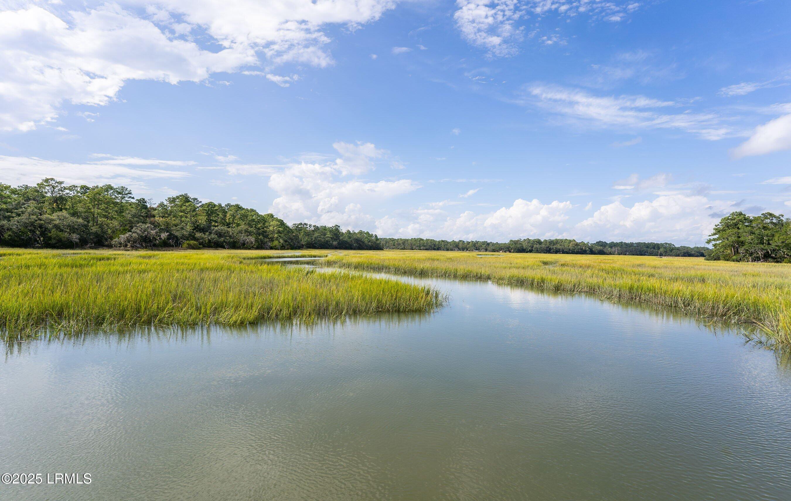 2707 Switchgrass Drive Beaufort, SC 29902 - Photo 45 of 48 DSC04462.jpg-FULL.JPG-FULL.JPG-SMALL