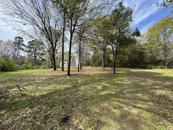 a view of outdoor space with yard
