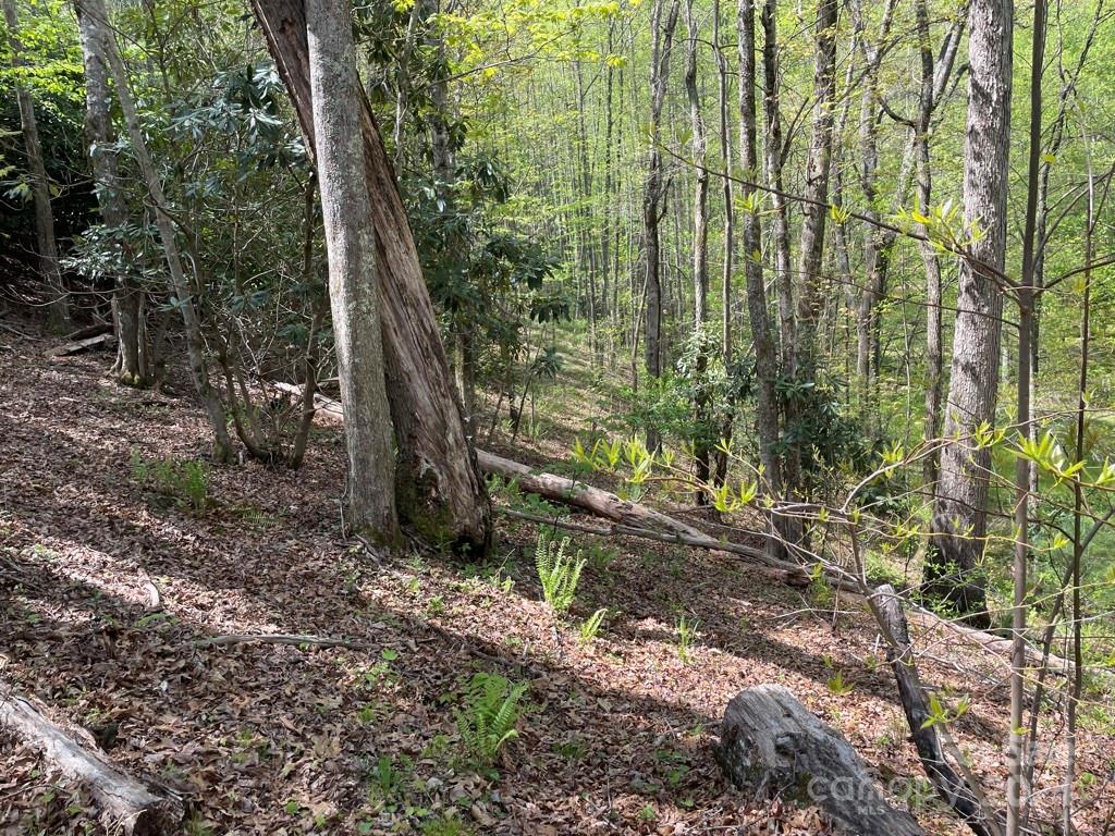 0 Cawood Lane Clyde, NC 28721 - Photo 6 of 11 a backyard of a house with lots of green space