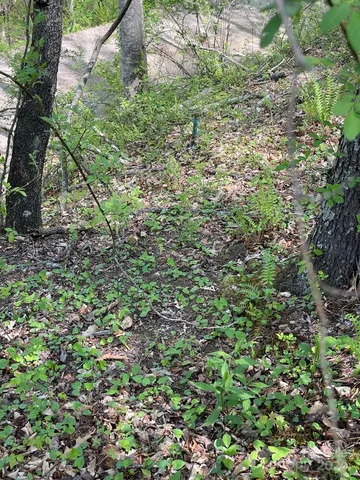a view of outdoor space with deck and yard