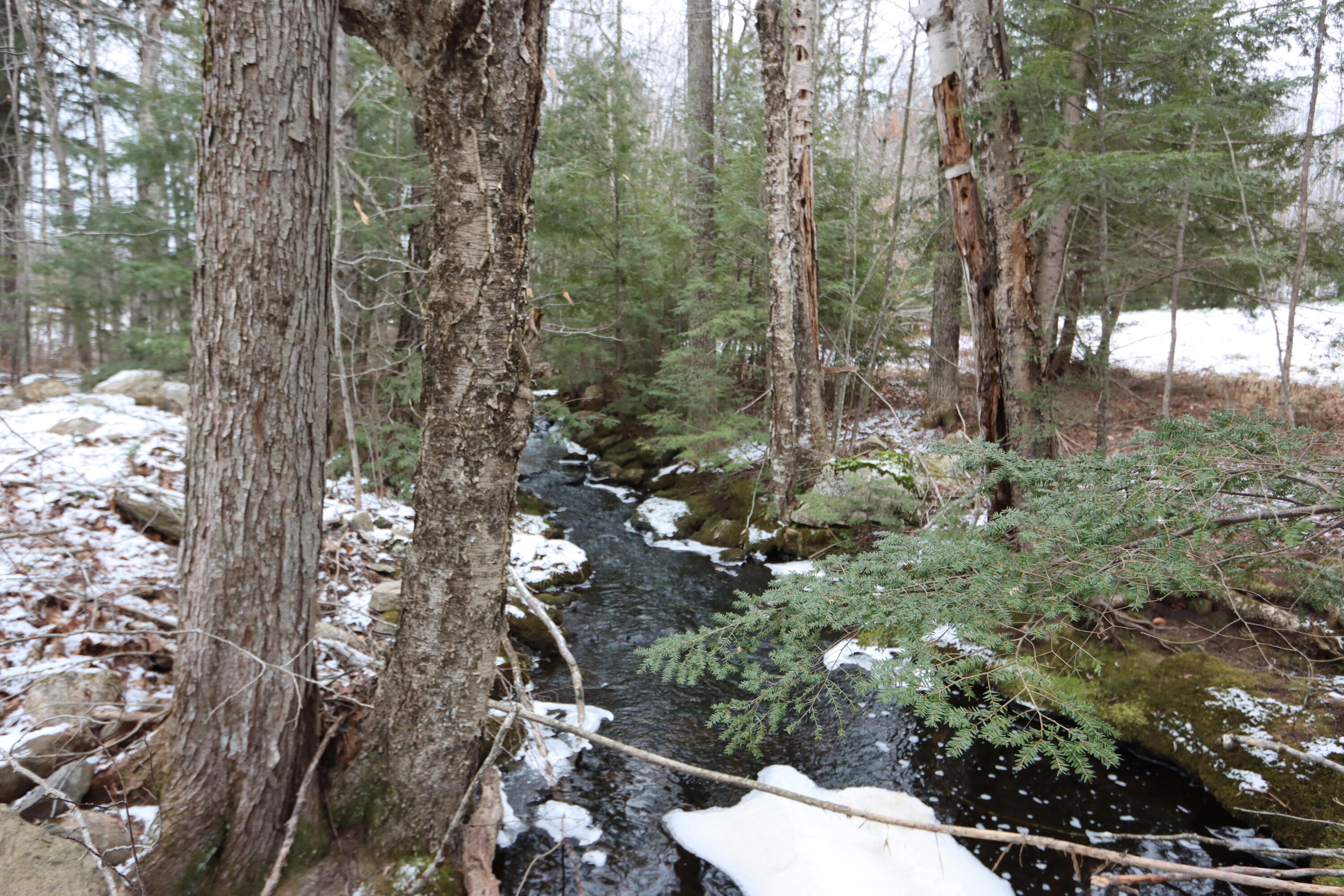 373 Richmond Road Litchfield, ME 04350 - Photo 60 of 82 IMG_9375