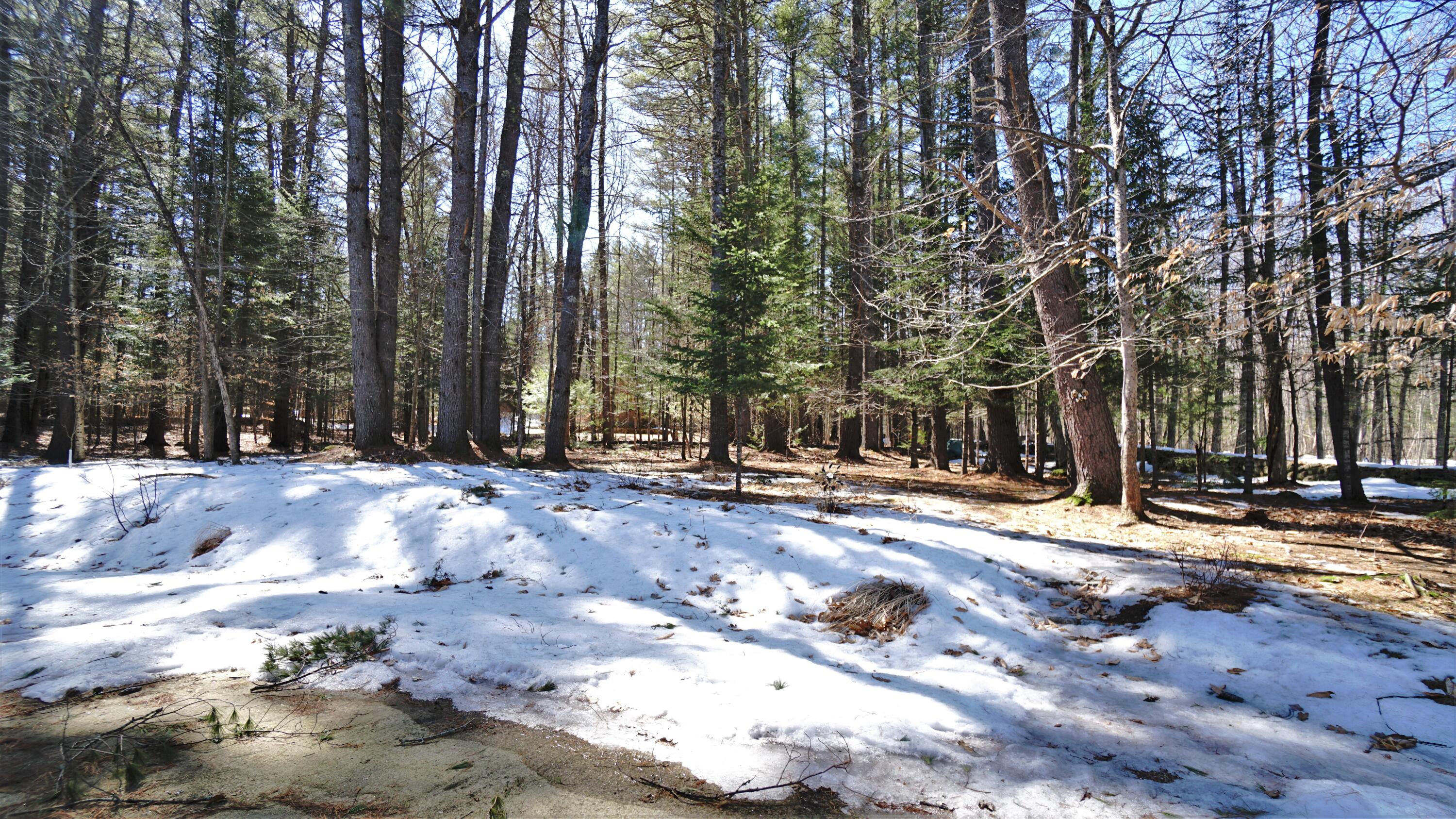 28 Bramble Road Bridgton, ME 04009 - Photo 11 of 80 1 (11)