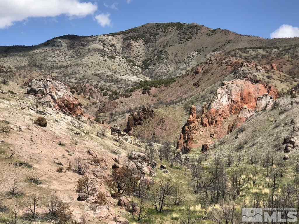 Tbd Piute Creek Road Reno, NV 89510 - Photo 1 of 40 Photo 1