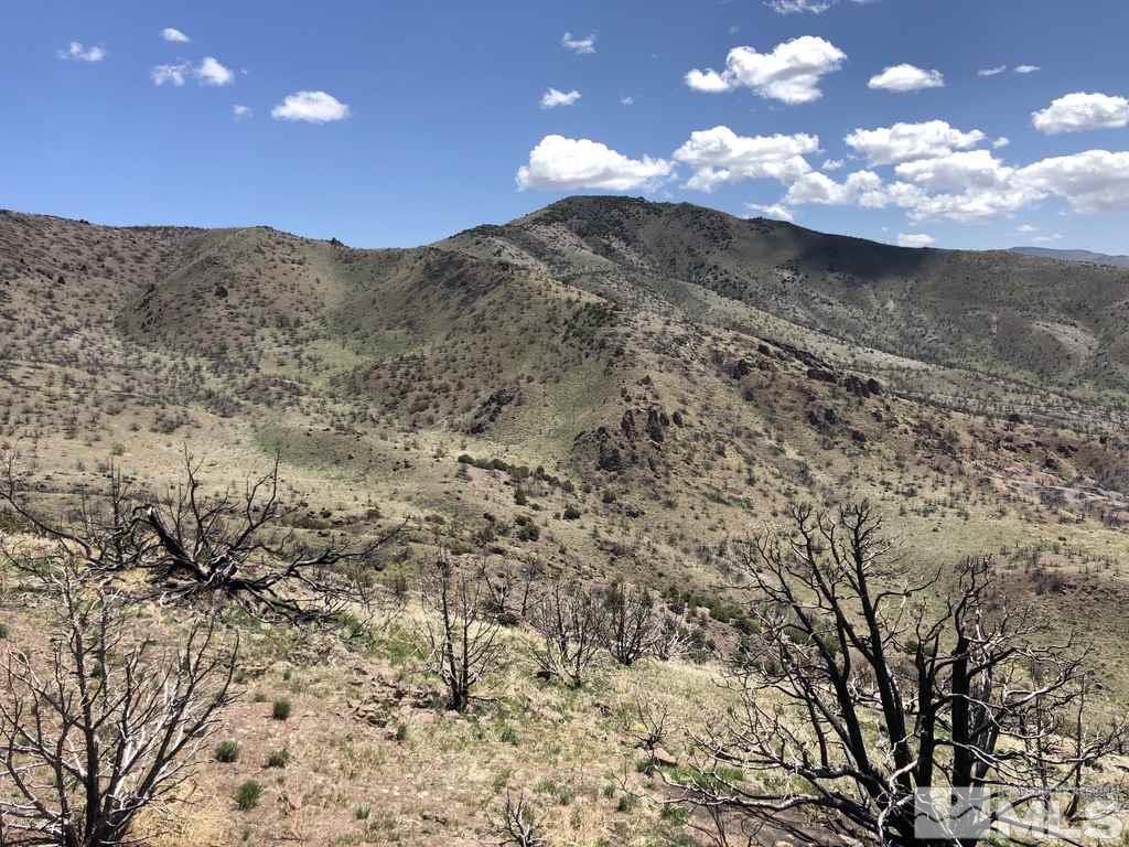 Tbd Piute Creek Road Reno, NV 89510 - Photo 20 of 40 Photo 20