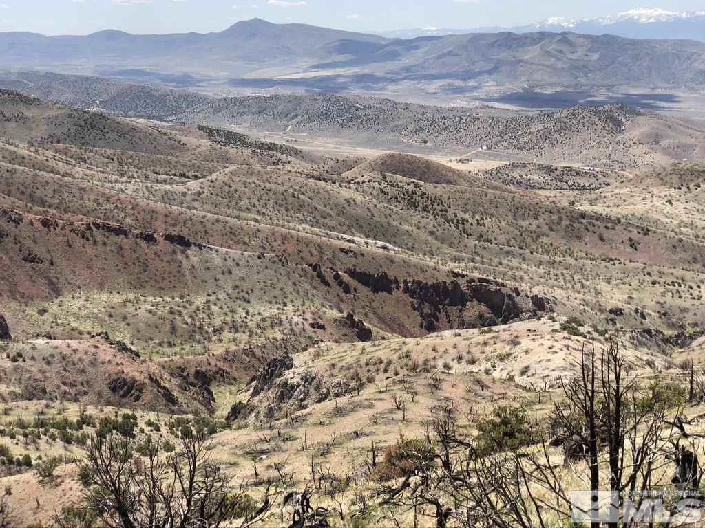 Tbd Piute Creek Road Reno, NV 89510 - Photo 21 of 40 Photo 21